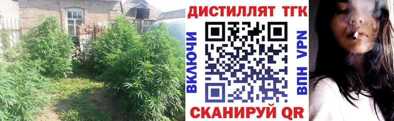 маркетплейс состав Новосиль ТГК вейп с тгк дарнет шоп
