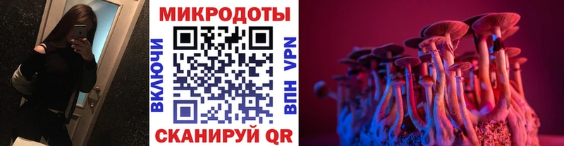 Псилоцибиновые грибы Cubensis  даркнет сайт  Новосиль 